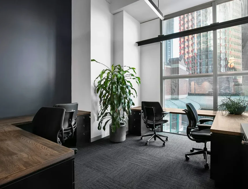 Wooden desks and black office chairs furnish a modern, carpeted office space, framed by a large potted plant and floor-to-ceiling windows overlooking surrounding urban high-rises.
