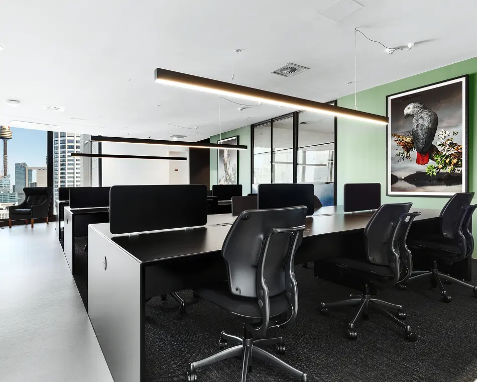 Sleek black office desks paired with ergonomic chairs sit beneath long suspended linear lights in a modern workspace, featuring a light green accent wall with framed parrot artwork.