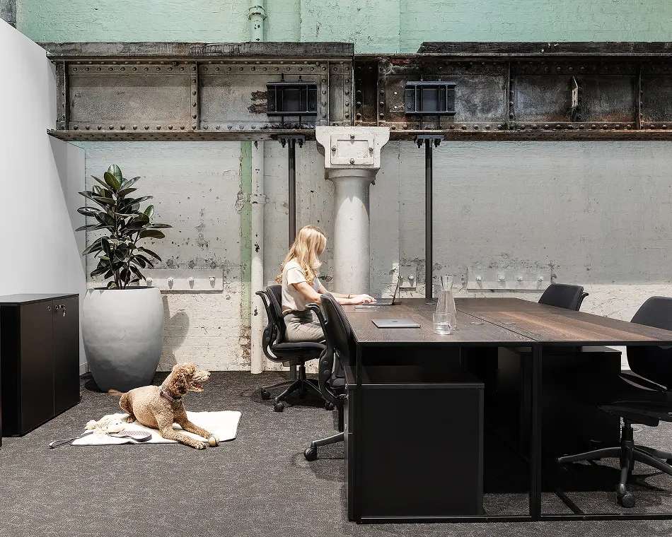A woman works on a laptop at a dark wooden desk while a dog rests on a white mat nearby, inside an industrial-style office with exposed steel beams.
